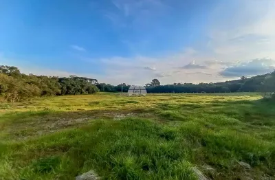 Terreno comercial à venda na rodovia br-376, 00, campo largo da roseira, são josé dos pinhais, 34570 m2 por r$ 490.000