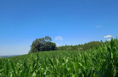 Terreno à venda na estrada pr 160, c48p+m62, campinas belas, reserva, 280631 m2 por r$ 3.500.000