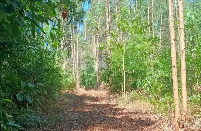 Terreno à venda na ESTRADA PR 160, C48P+M62, Campinas Belas, Reserva, 280631 m2 por R$ 3.000.000