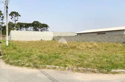 Terreno à venda na rua ignez gazzola cruz, 001, rio pequeno, são josé dos pinhais, 450 m2 por r$ 290.000