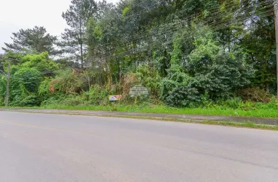 Terreno à venda na rua das laranjeiras, 1408, colônia santa gabriela, almirante tamandaré por r$ 1.800.000