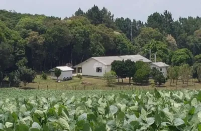Chácara / sítio com 4 quartos à venda na rodovia pr-151, 02, centro, palmeira por r$ 2.500.000