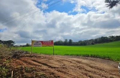 Terreno à venda na rua carlos falat, s/n, campo do rio, fazenda rio grande, 11900 m2 por r$ 1.200.000