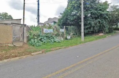 Terreno comercial para alugar na rua olívio rocha, jardim bandeirantes, colombo, 564 m2 por r$ 590