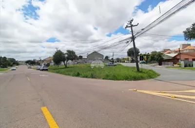 Terreno comercial para alugar na rua sezinando martinho da cruz, 132, fazendinha, curitiba, 1048 m2 por r$ 1.800