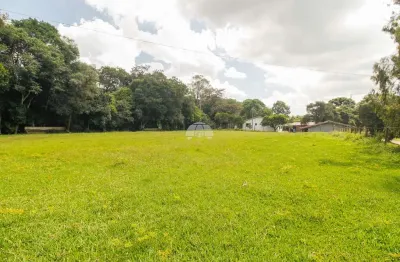 Terreno comercial para alugar na rua antônio zanon, 09, tatuquara, curitiba, 3600 m2 por r$ 7.500