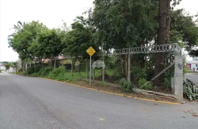 Terreno comercial para alugar na rua pedro lauffer, 64, campina do siqueira, curitiba, 348 m2 por r$ 3.400