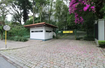Apartamento com 3 quartos para alugar na rua manoel eufrásio, 650, juvevê, curitiba, 90 m2 por r$ 3.000