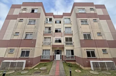 Apartamento com 2 quartos para alugar na rua yoshiaki nagano, 510, capela velha, araucária, 42 m2 por r$ 1.200