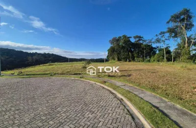 Terreno à venda, 203 m² por r$ 320.000,00 - rio do meio - itajaí/sc