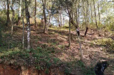 Terreno à venda em santana de parnaíba, parque alvorada