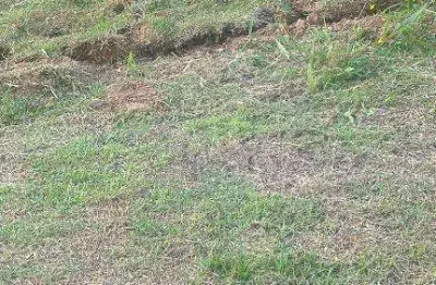 Terreno à venda em cotia, jardim atalaia, residencial club life granja vianna