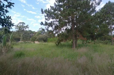 Terreno comercial à venda na Rua João Elizeu Cassalho, 134, Laranjeiras, Caieiras