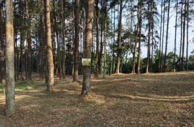 Terreno à venda em barueri, residencial morada dos lagos, residencial lago orion