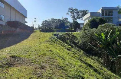 Terreno em condomínio fechado à venda na Avenida Piracema, 250, Tamboré, Barueri