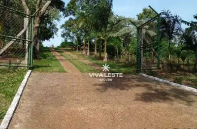 Área à venda, 5000 m² por r$ 350.000,00 - santana - são pedro/sp