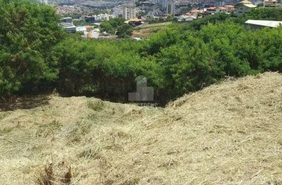 Terreno comercial para alugar na Rua Paulo Freire de Araújo, Estoril, Belo Horizonte