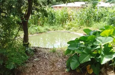 Apartamento com 4 quartos à venda na Zona Rural, Goianápolis 