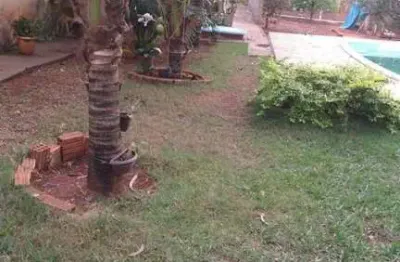 Chácara para venda em são josé do rio preto, são luis  talhado, 2 dormitórios, 2 banheiros, 10 vagas