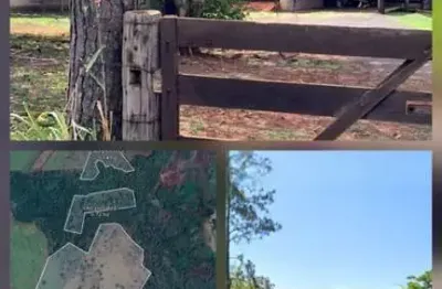 Fazenda à venda na Rod. Percy Waldir Semeguini, 200, Água Vermelha, Ouroeste