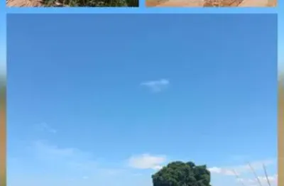 Chácara / sítio à venda na Avenida Margina Dois, 500, Zona Rural, Ipiguá