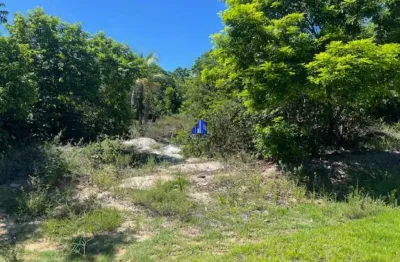 Terreno à venda condomínio praia do castelo em praia do forte r$ 1.120.000,00 oportunidade, 700m², pequeno declive!