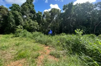 Terreno à venda alphaville i salvador, grande oportunidade a partir de r$ 2.585.000,00, várias opções em todas as portarias!
