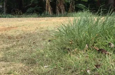 Alphaville salvador i, terrenos à venda a partir de r$ 2.445.000,00, várias opções em todas as portarias!