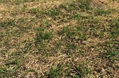 Terreno à venda em alphaville ii salvador, várias opções a partir de r$ 1.435.000,00! agende sua visita!