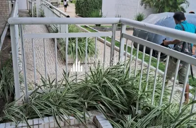 Apartamento com 2 quartos à venda na Avenida Senador Lemos, 3253, Sacramenta, Belém