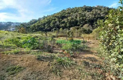 Terreno em condomínio para venda em juiz de fora, salvaterra