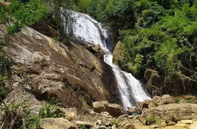 Terreno em condomínio para venda em coronel pacheco, triqueda