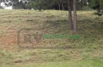 Terreno em condomínio fechado à venda na Antonio /Bento Vasconcelos, 290, Ipiranga, Juiz de Fora
