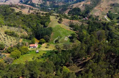 Fazenda à venda no Centro, Delfim Moreira 