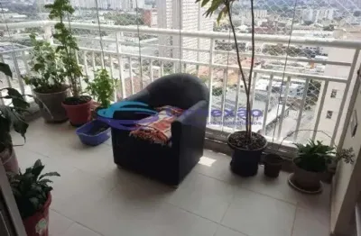 16031 - residential / apartment 3 dorms. (1 suíte), limão - são paulo/sp