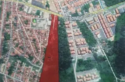 Terreno à venda em forquilha - 60.000m² - plano - localização privilegiada
