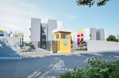 Lançamento - vende-se apartamento cond. rancho das flores - miritiua - 2 quartos
