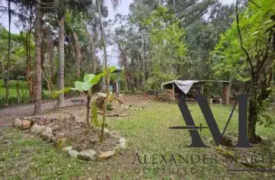 Chácara / sítio com 5 quartos à venda no Braço São João, Santo Amaro da Imperatriz 