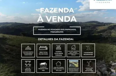 Fazenda com 1 sala à venda na fazenda papagaio, zona rural, itaguara, 300 m2 por r$ 4.200.000