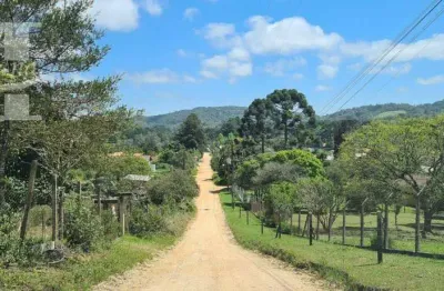 Terreno plano ótima localização próximo rest evíssima lamenha grande almirante tamandaré.