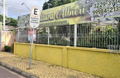 Terreno zr-3 perfeito para seu comércio em uma das ruas mais movimentadas do bairro portão!