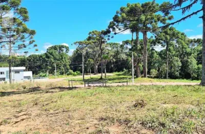 Terreno em quatro barras.perfeito para seu projeto próximo da natureza área de lazer bosque ecopark