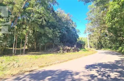 Terreno em morretes com 48m² de testada há minutos da br 277 estuda permuta por carro.