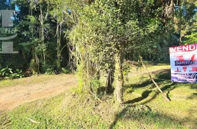 Lindo terreno em morretes, plano, com uma testada de 28m² rua asfaltada á minutos da br 277 documentado.