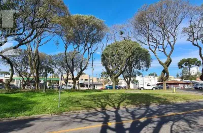 Terreno comercial para alugar na Rua Raphael Papa, 114, Alto da Rua XV, Curitiba