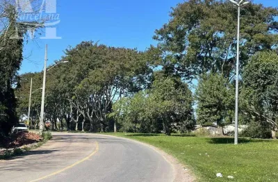 Terreno boqueirão/uberaba com alvará para construir 3 sobrados.
