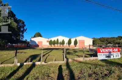 Terreno com 23.000m² de área total, com barração, na entrada de tijucas do sul/pr. localização maravilhosa!