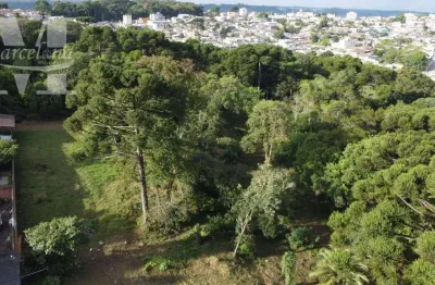Terreno de esquina na av são gabriel, com testadas de 78 e 85 m2.  grande desenvolvimento comercial na região.