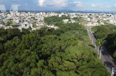 Terreno perfeito para condomínio de aptos minha casa minha vida.  excelente localização do bairro são gabriel em colombo.