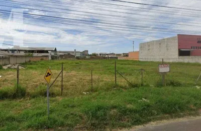 Excelente terreno com 3.500 m2 , plano, em asfalto, perfeito para prédio e ou comércio. estuda permuta.